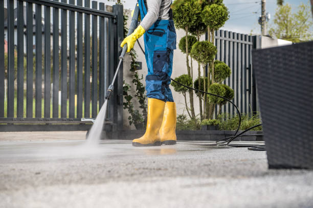 Animal Enclosure Cleaning in Jessup, MD